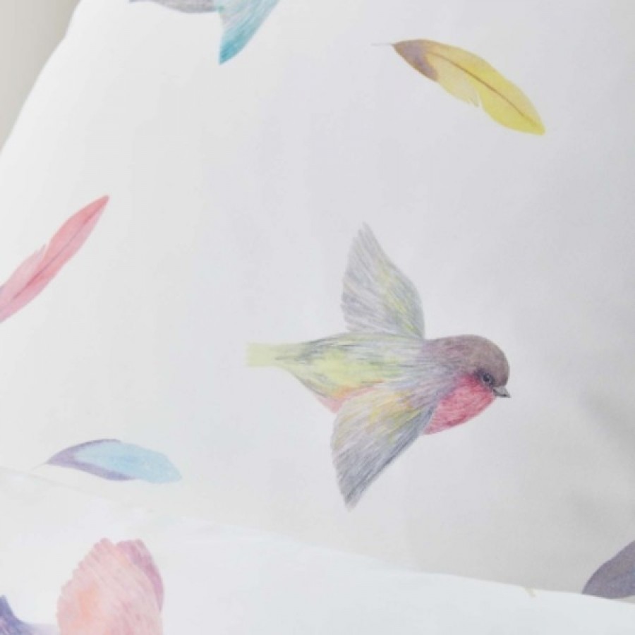 EleganteTwitterSengest-01