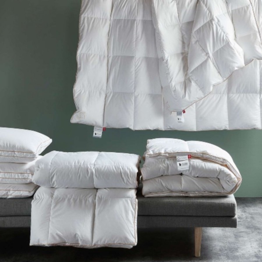 Ringsted Dun Svinedreng Dyne Lun