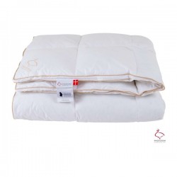 Ringsted Dun Svinedreng Dyne Lun