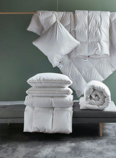 pli2018008_tunge_AH_Copy-1